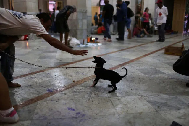 A worshiper plays with a dog inside the shrine of Saint Lazarus during the annual pilgrimage at the town of Rincon, Cuba, December 16, 2016. (Photo by Alexandre Meneghini/Reuters)