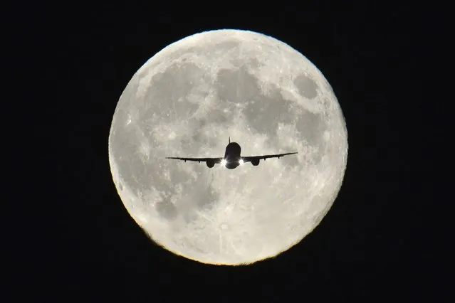 A passenger aircraft, with the full “Harvest Moon” seen behind, makes its final approach to landing at Heathrow Airport in west London, September 19, 2013. (Photo by Toby Melville/Reuters)