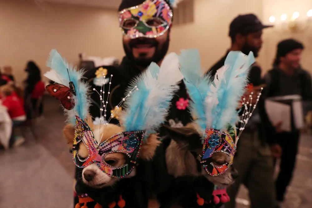 New York Pet Fashion Show 2019