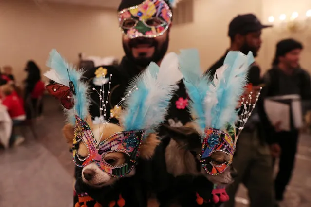 A man holds a dog backstage at the 16th annual New York Pet fashion show in New York, U.S., February 7, 2019. (Photo by Shannon Stapleton/Reuters)