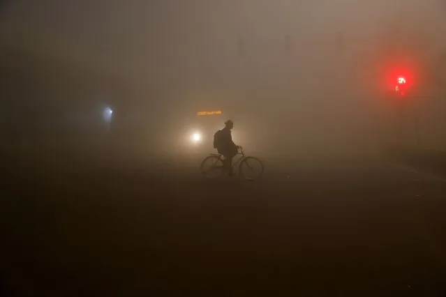 A man rides a bicycle amidst heavy fog in New Delhi, India on December 27, 2023. (Photo by Anushree Fadnavis/Reuters)