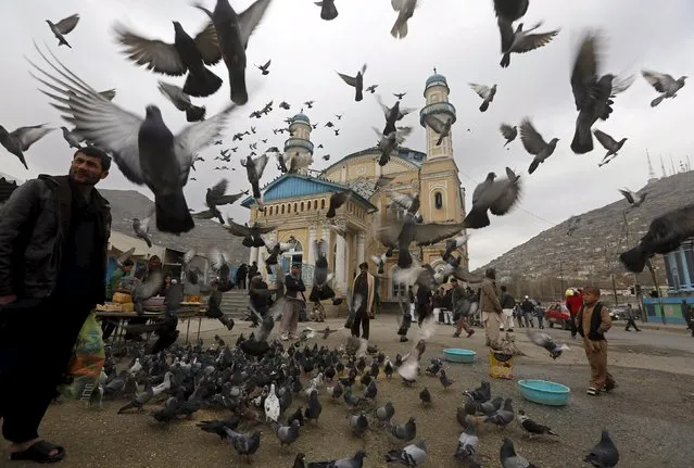 A man poses for a picture for his friend among pigeons outside the Shah-e Doh Shamshira mosque in Kabul March 20, 2015. (Photo by Omar Sobhani/Reuters)