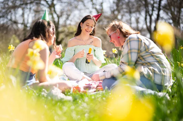 Kate Johnston (L) and Hollie Raythorne (C) celebrate the 22nd birthday of Grace Flaherty as they picnic among the daffodils in St James' Park on March 30, 2021 in London , England. Despite todays temperature heading towards 24 degrees, next week is set to include a cold snap with frost and snow predicted. (Photo by Leon Neal/Getty Images)