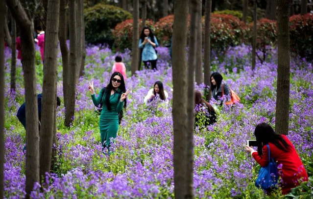 People take selfies amongst flowers in Gucun park in Shanghai on March 20, 2016. (Photo by Johannes Eisele/AFP Photo)