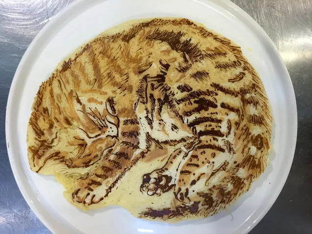 A finished pancake cat on a plate in Zama City, Japan. (Photo by Keisuke Inagaki/Barcroft Images)