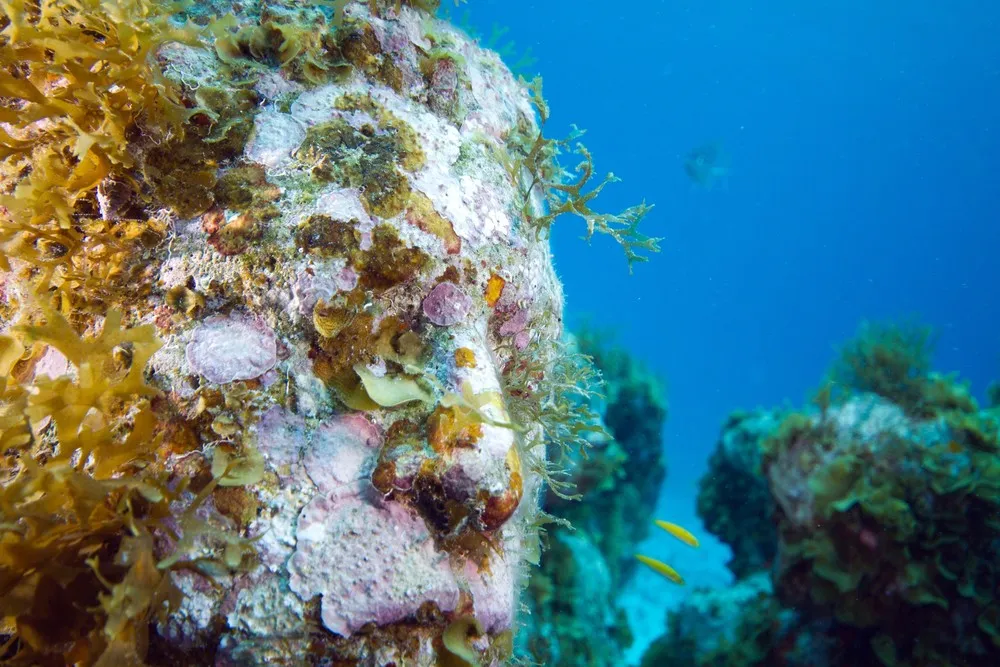 Underwater Sculpture, Part 1: “The Silent Evolution”