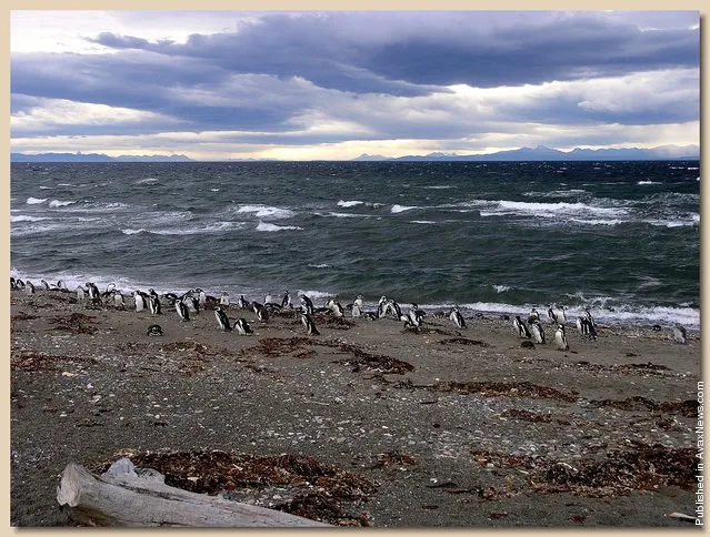 Strait of Magellan