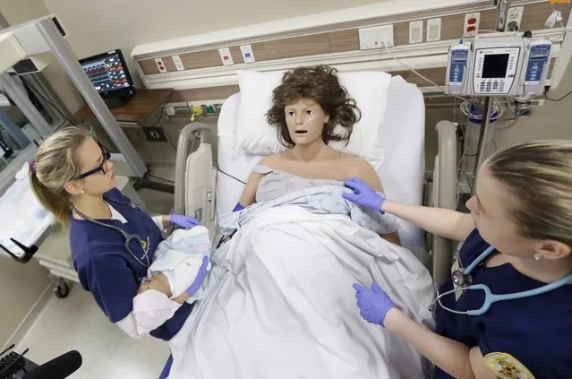 In a photo from, Monday, March 28, 2016, in Ann Arbor, Mich., nursing school students Sarah Hampel, left, and Alexandra Noga interact with a mannequin to learn how to respond to real-life medical situations, including emergencies. The high-fidelity mannequins reside in six simulation rooms set up inside the Ann Arbor school's new Clinical Learning Center. They can bleed, vomit and give birth, just like real patients. (Photo by Carlos Osorio/AP Photo)