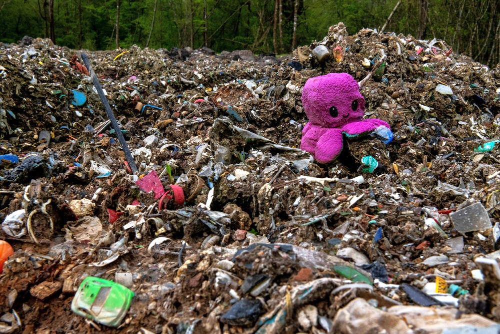 Some Photos: Ecology