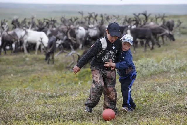 Sons of local herders play with a ball near reindeer at a camping ground, some 200 km (124 miles) northeast of Naryan-Mar, the administrative centre of Nenets Autonomous Area, far northern Russia, August 2, 2015. (Photo by Sergei Karpukhin/Reuters)