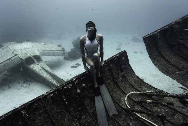 Here environmental activist Julia is on a WW2 bomber plane and in a ship surrounding by seacreatures. (Photo by Julia Wheeler/Caters News Agency)