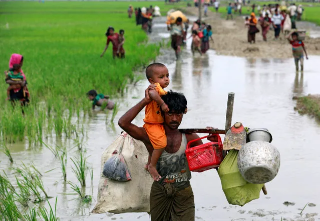 A Rohingya refugee carries a child through a paddy field after crossing the Bangladesh-Myanmar border, in Teknaf, Bangladesh, September 6, 2017. (Photo by Danish Siddiqui/Reuters)