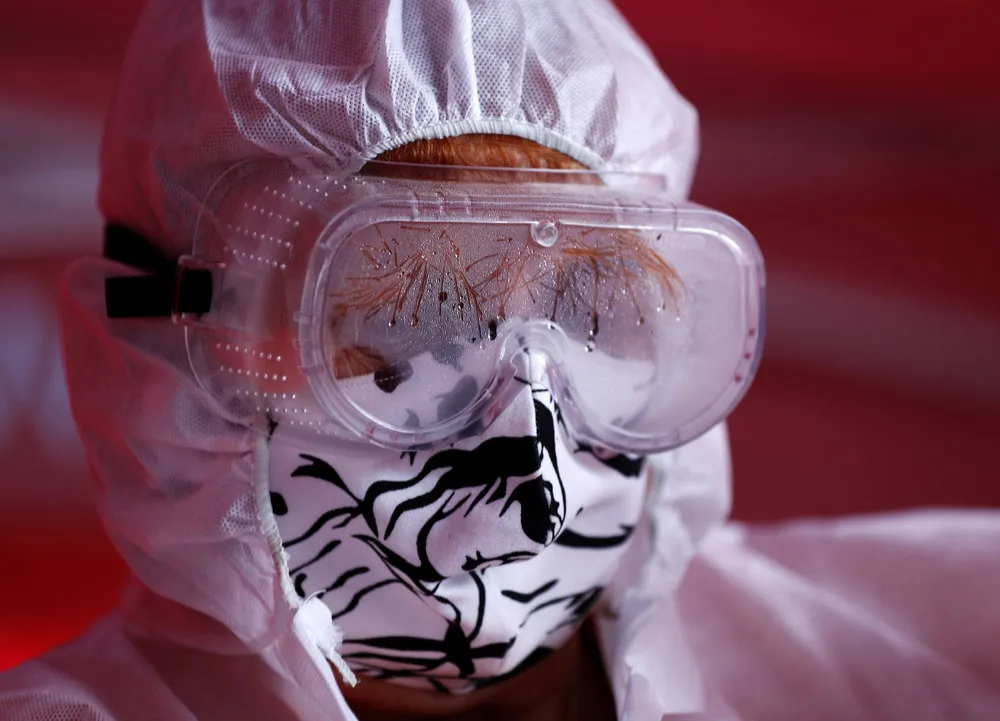 The Day in Photos – March 29, 2020