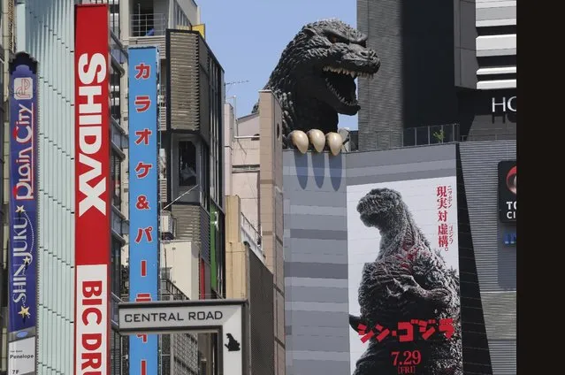 In this July 30, 2016 photo,  the poster of “Shin Godzilla”, or “New Godzilla”, is displayed under the monster's head at a movie theater in Tokyo.  Godzilla is back in its homeland of Japan after a 12-year absence, still breathing fire and mercilessly stomping everything in its way. The latest in the giant reptile Godzilla movies “Shin Godzilla”, or  “New Godzilla”, opened in Japan on July 29 and is promised for the U.S. and other countries later this year. (Photo by Koji Sasahara/AP Photo)