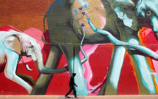 A man walks past a huge graffiti artwork depicting elephants in downtown Johannesburg, South Africa, 10 October 2017. The artwork by “Falko” is part of the newly formed graffiti tours that take people through the streets of the city to introduce them to the graffiti and who painted them. (Photo by Kim Ludbrook/EPA/EFE)
