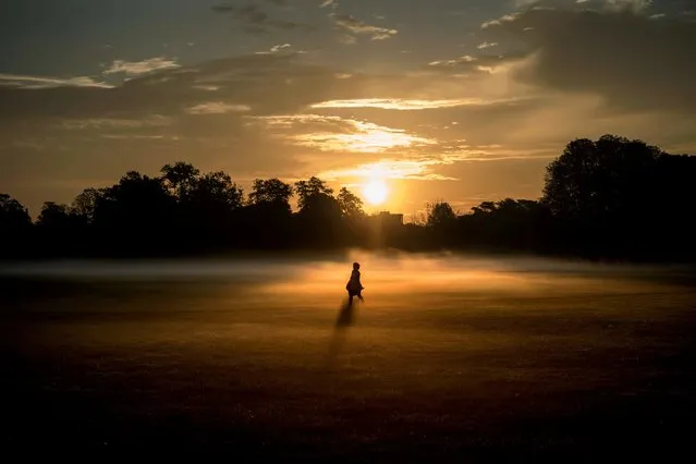A person walks through morning mist across the Parc de la Tete d' Or in downtown Lyon early on October 12, 2017. (Photo by Jeff Pachoud/AFP Photo)