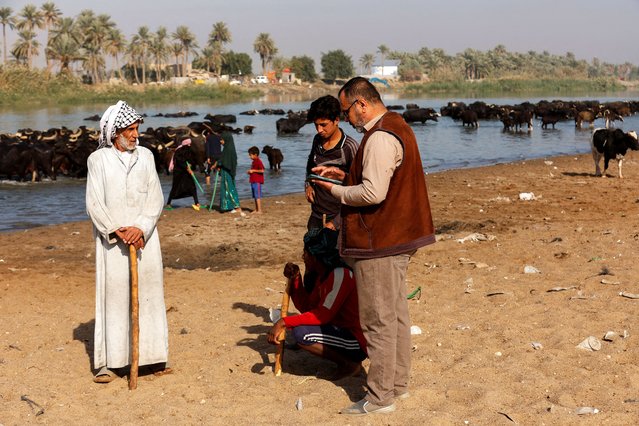 A person from the Iraq Planning Ministry carries out the national population census in Najaf, Iraq, on November 20, 2024. (Photo by Alaa Al-Marjani/Reuters)