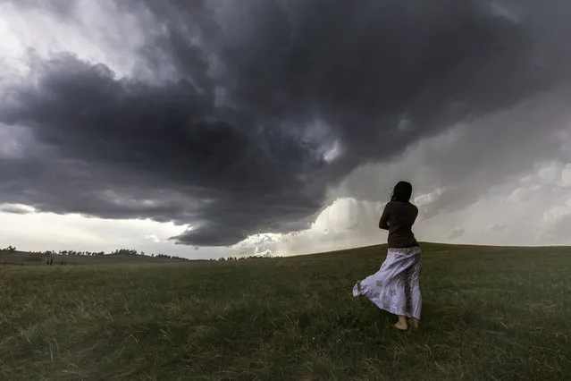 Dress for Success – Daow looking at the storm. (Photo by Nicolaus Wegner/Caters News)
