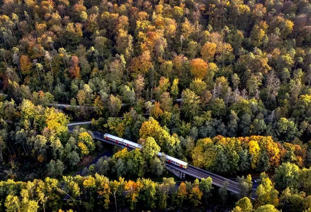 A regional train drives through the forests of the Taunus region near Wehrheim, Germany, Monday, October 17, 2022. (Photo by Michael Probst/AP Photo)