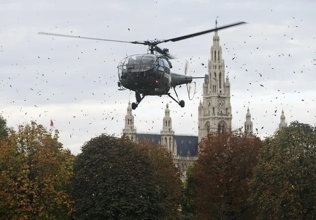 An Austrian army Alouette III helicopter hovers in front of the city hall as it lands in Vienna October 20, 2014. The army is preparing for a presentation of its capabilites on Austria's national day October 26, 2014. (Photo by Heinz-Peter Bader/Reuters)