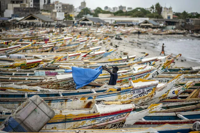 A fisherman dries a sheet next to fishing boats that are grounded because demand for fish dries up during the upcoming Islamic holiday of Eid al-Adha when people slaughter sheep to eat and when the fishermen return home to their families, on the beach in Dakar, Senegal Thursday, July 30, 2020. (Photo by Sylvain Cherkaoui/AP Photo)