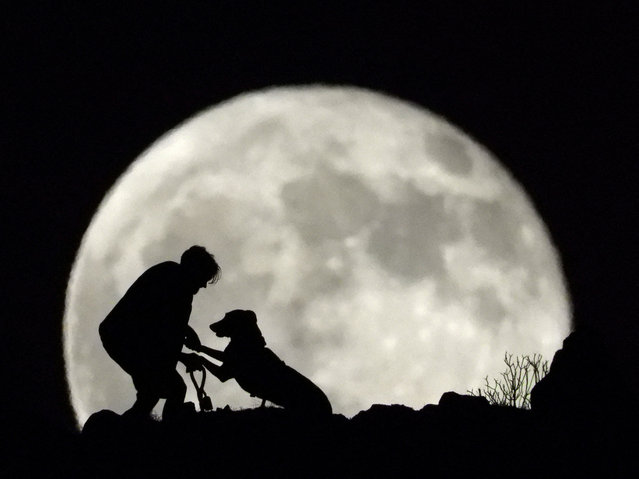 Yerai Garcia, 31, plays with his dog Greta as the full moon, known as the "Sturgeon Moon," rises in Arguineguin, on the island of Gran Canaria, Spain, on August 9, 2025. (Photo by Borja Suarez/Reuters)