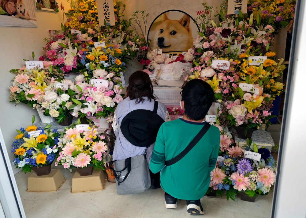 Pictures of the Year 2024, Part 102/240