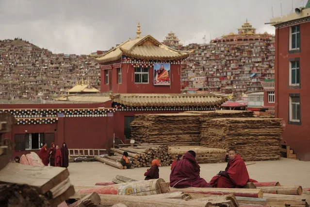 This photo taken on April 4, 2013 shows Buddhist monks sitting on logs chatting, in Seda Monastery, the largest Tibetan Buddhist school in the world, with up to 40,000 monks and nuns in residence for some parts of the year. (Photo by Peter Parks/AFP Photo)