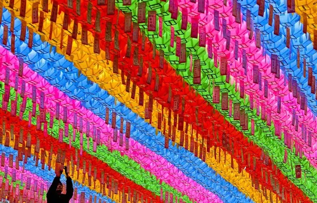A man hangs colourful lanterns to celebrate the forthcoming birthday of Buddha at the Chogye temple in Seoul, South Korea, on May 3, 2013. Buddha was born approximately 2,557 years ago, and although the exact date is unknown, Buddha's official birthday is celebrated on the full moon in May, on May 17 this year. (Photo by Chung Sung-Jun/Getty Images)