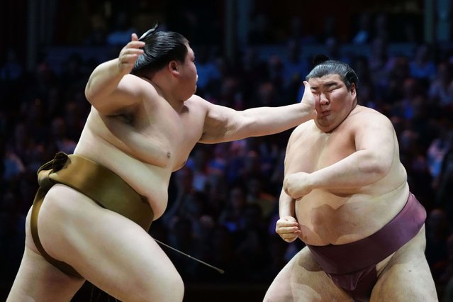 Sumo wrestlers Oho, left, and Atamifuji compete in a tournament at the Royal Albert Hall in London on Sunday, October 19, 2025. (Photo by Frank Augstein/AP Photo)