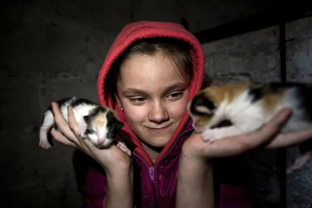 10 year old Khrystyna pets her kittens at her house in Bohoyavlenka, Ukraine, on Sunday, April 9, 2023. Khrystyna's father died last summer after a Russian shell hit his basement. (Photo by Evgeniy Maloletka/AP Photo)