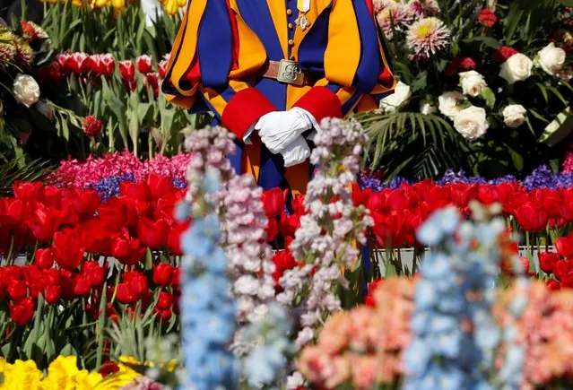 A Swiss guard stands on the day of the weekly general audience in St. Peter's Square at the Vatican on April 12, 2023. (Photo by Remo Casilli/Reuters)