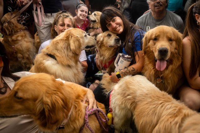 Hundreds of owners and their Golden Retrievers gather in an attempt to break the world record for the largest meeting of Goldens, in the Bosques de Palermo, in Buenos Aires, Argentina, on December 8, 2025. The event, organized by influencer Fausto Duperre, brought together more than 1,800 dogs along with their families, breeders, and fans of the breed. To date, the world record was held by Vancouver, Canada, with 1,685 dogs. (Photo by Cristina Sille/Anadolu via Getty Images)