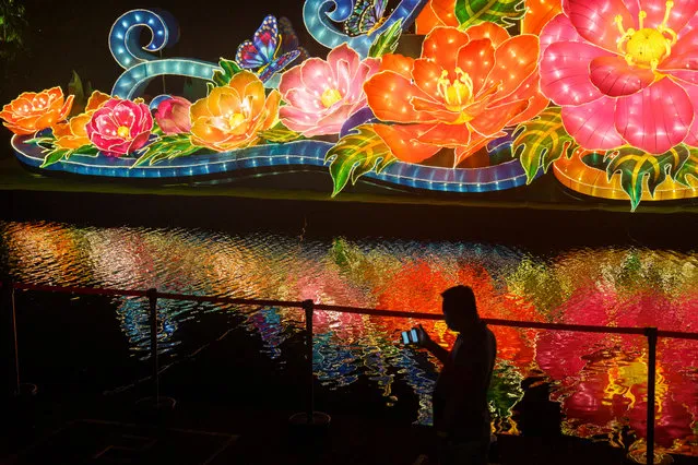 A man can be seen at a lantern display for River Hongbao festivity at the Gardens by the Bay, as part of the Lunar New Year celebration on February 11, 2021 in Singapore. The Chinese diaspora of Southeast Asia is celebrating a somewhat subdued Lunar New Year, as Covid-19 restrictions cut into what is traditionally a time for people to meet their relatives and take part in celebrations with extended families. In Singapore, where the spread of Covid-19 has been less extensive, each household will be permitted to have only up to 8 visitors per day, and authorities are encouraging the ethnic Chinese majority to visit no more than two households. (Photo by Ore Huiying/Getty Images)