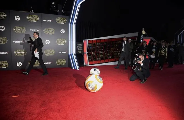 Droid BB-8 arrives at the world premiere of the film "Star Wars: The Force Awakens" in Hollywood, California, December 14, 2015. (Photo by Kevork Djansezian/Reuters)