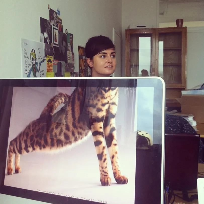 Desk Safari by Mike Whiteside. Part1