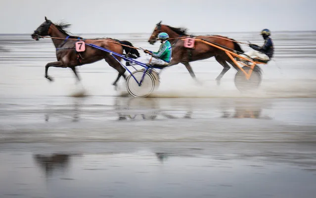 Trotters compete in the mudflats of the Elbe estuary during the Duhner Wattrennen horse racing day in Cuxhaven, northern Germany, on July 15, 2023. The races take place at low tide, making them a rare opportunity to see equestrian competitions on the seabed. (Photo by Focke Strangmann/AFP Photo)