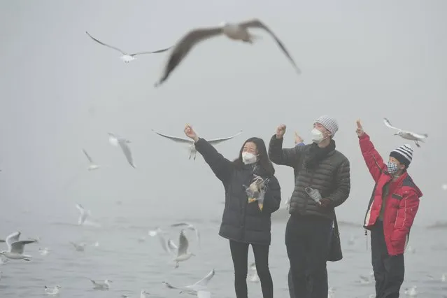 Visitors feed gulls during a hazy day in Qingdao, Shandong province, January 3, 2016. (Photo by Reuters/China Daily)