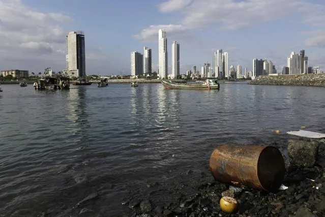 An old rusted oil barrel is seen in Panama Bay in Panama City January 31, 2015. (Photo by Carlos Jasso/Reuters)