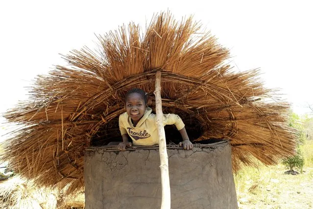 A girl attempts to climb out of a granary after cleaning it in preparation for grain storage in Odek village, north of Uganda capital Kampala February 14, 2015. (Photo by James Akena/Reuters)