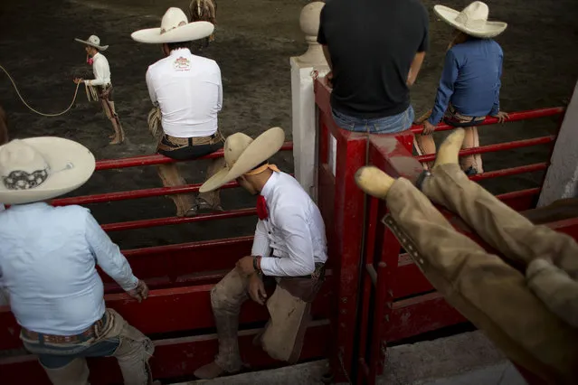 In this February 26, 2015 photo, young charros who participate in wild bull and horse riding, and roping events, watch the competition from atop animal pens, at the National Charros Association arena in Mexico City. Typically charros compete in club and association teams, and this “national charreria” brought together a selection of the top charros from each state. After an eight year gap, the fourth edition of the championship took place from February 26th to March 1, 2015, with teams from 27 Mexican states participating. (Photo by Rebecca Blackwell/AP Photo)
