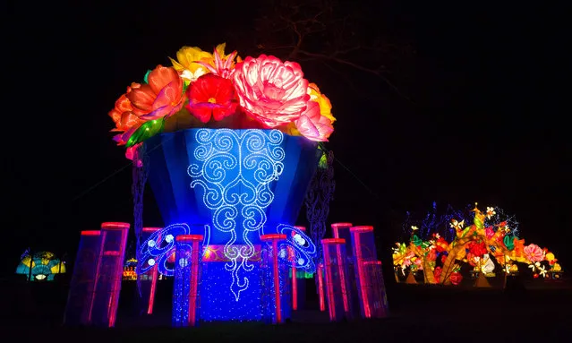 A light sculpture depicting a aboquet of flowers is seen during a photocall to promote the Magical Lantern Festival at Chiswick House Gardens in west London on January 29, 2016. (Photo by Justin Tallis/AFP Photo)
