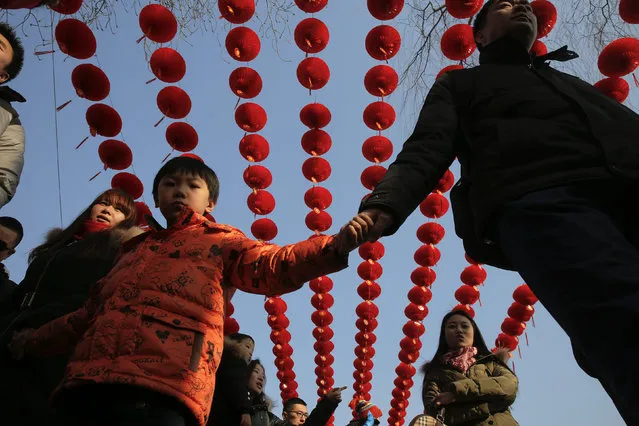 People walk under lanterns at the Longtan park as the Chinese Lunar New Year, which welcomes the Year of the Monkey, is celebrated in Beijing, China February 9, 2016. (Photo by Damir Sagolj/Reuters)