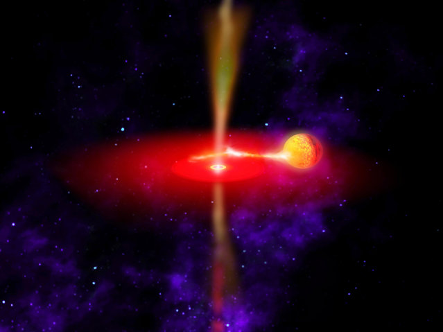 An artist's concept illustrates what the flaring black hole called GX 339-4 might look like in this NASA handout image. Infrared observations from NASA's Wide-field Infrared Survey Explorer (WISE) reveal the best information yet on the chaotic and extreme environments of this black hole's jets. GX 339-4 likely formed from a star that exploded. It is surrounded by an accretion disk (red) of material being pulled onto the black hole from a neighboring star (yellow orb). Some of this material is shot away in the form of jets (yellow flows above and below the disk). The region close in to the black hole glows brightly in infrared light. (Photo by Reuters/NASA/JPL)