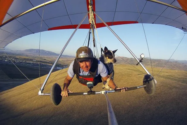 Dan McManus and his service dog Shadow hang glide together outside Salt Lake City, Utah, July 22, 2013. (Photo by Jim Urquhart/Reuters)