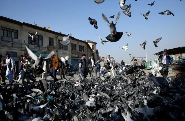 Afghan men watch Pigeons at the site where a mob beat to death a 27 year-old woman, Farkhunda, in Kabul, Afghanistan, Thursday, March 26, 2015. Farkhunda, who went by one name like many Afghans, was beaten, run over with a car and burned before her body was thrown into the Kabul River, last week. (Photo by Massoud Hossaini/AP Photo)