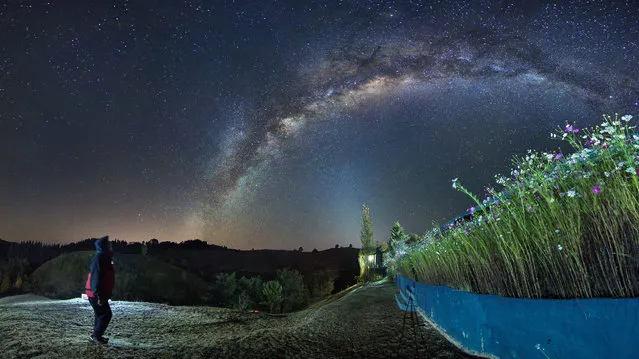 The deserts of Argentina take on a starring role in this photographer’s breathtaking Milky Way shots. Amateur snapper Gonzalo Javier Santile, 46, spent the last two years capturing these rare shots of the galaxy as it arced over deserts in Salta Cafayate, Cordoba Valle de Punilla, Provincia de Buenos Aires and the Rio Negro province. In his pictures, the Milky Way can be admired as it towers over canyons, cacti, bushes, and even small brooks and lakes. (Photo by Gonzalo Javier Santile/Caters News Agency)