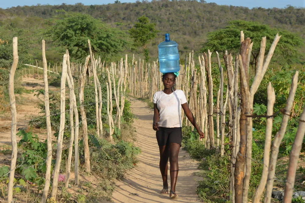 Haiti Migrants no Longer Stranded on Desolate Border