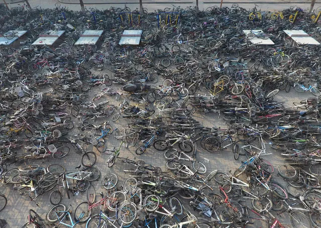 This photo taken on February 19, 2017 shows hundreds of abandoned or unused bikes at Zhengzhou University in Zhengzhou in China' s central Henan province. .The universty collected hundreds of abandoned or unused bikes from the university grounds after the Spring Festival break and asked owners to collect their bikes after proving ownership. (Photo by AFP Photo/Stringer)