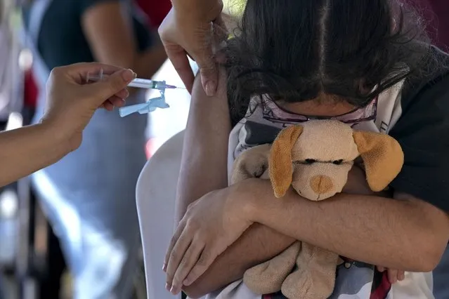 A girl hugs her stuffed toy as she gets a shot of the Pfizer COVID-19 vaccine at a community health center, in Brasilia, Brazil, Sunday, January 16, 2022. Brasilia started the COVID-19 vaccination of children between ages 5 and 11. (Photo by Eraldo Peres/AP Photo)